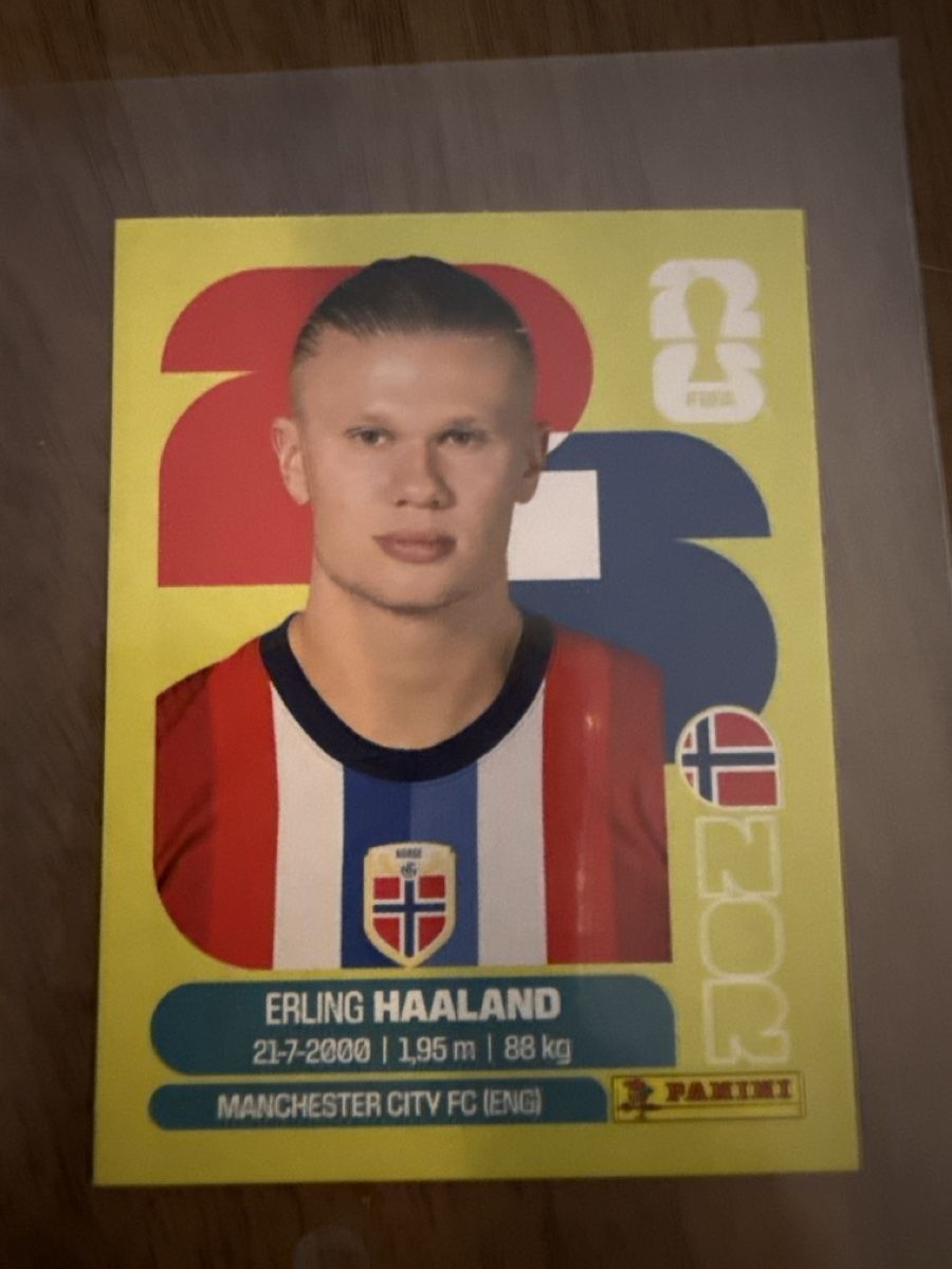 Panini Sammelbilder & Trading cards: Panini - Erling Haaland – Neu (gemäss Beschreibung) aus Mosnang von 007military