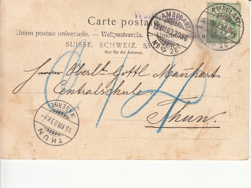 Cartoline postali: Fremde Gäste, 1903 – Usato da Bürglen TG venduto da StampGraf 1