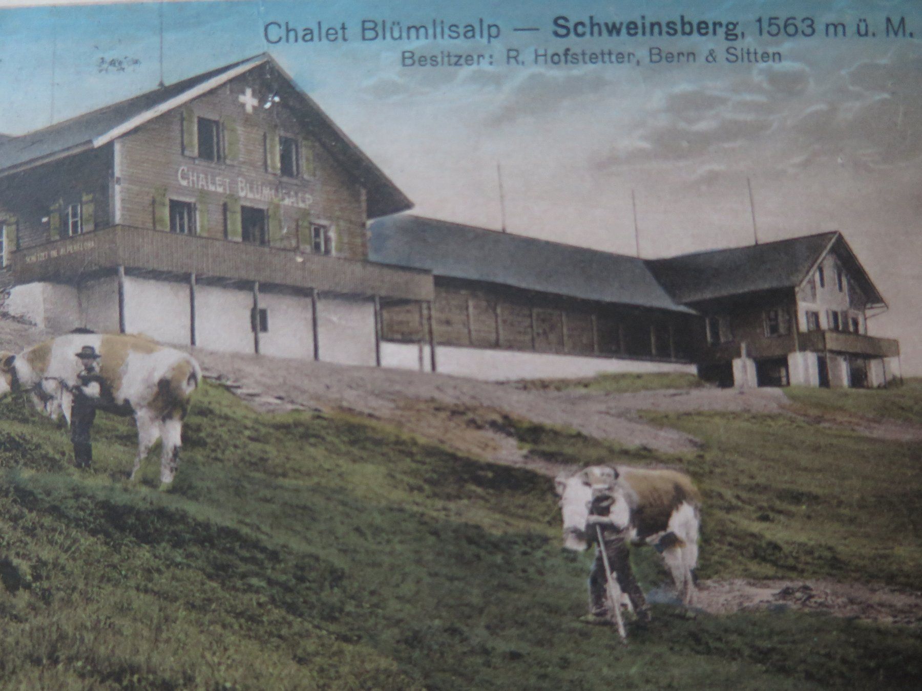 Cartoline postali: SCHWEINSBERG - CHALET BLÜMLISALP – Usato da Wittenbach venduto da lipasal 1