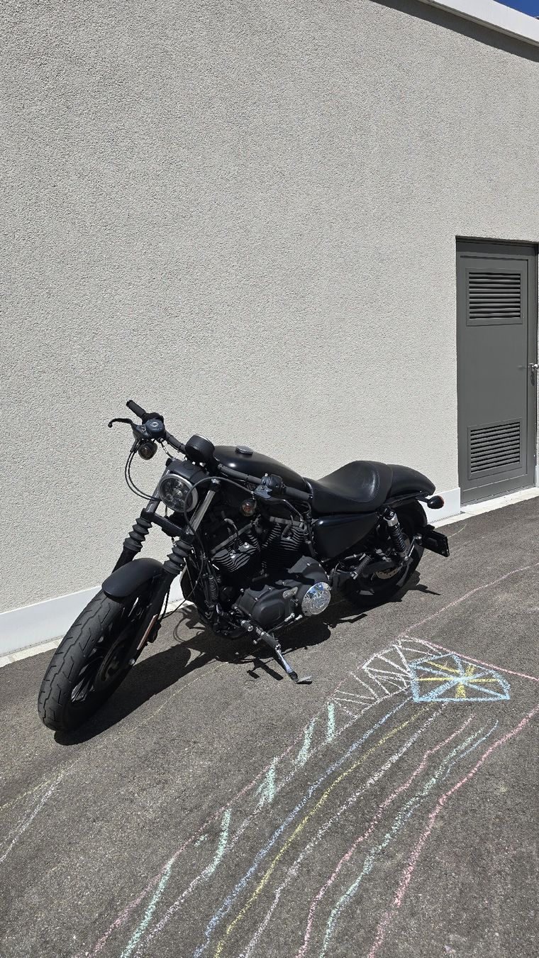 Harley-Davidson Chopper: Harley-Davidson Sportster 883 Iron N – Usato da Schwarzenbach SG venduto da jas_5sms