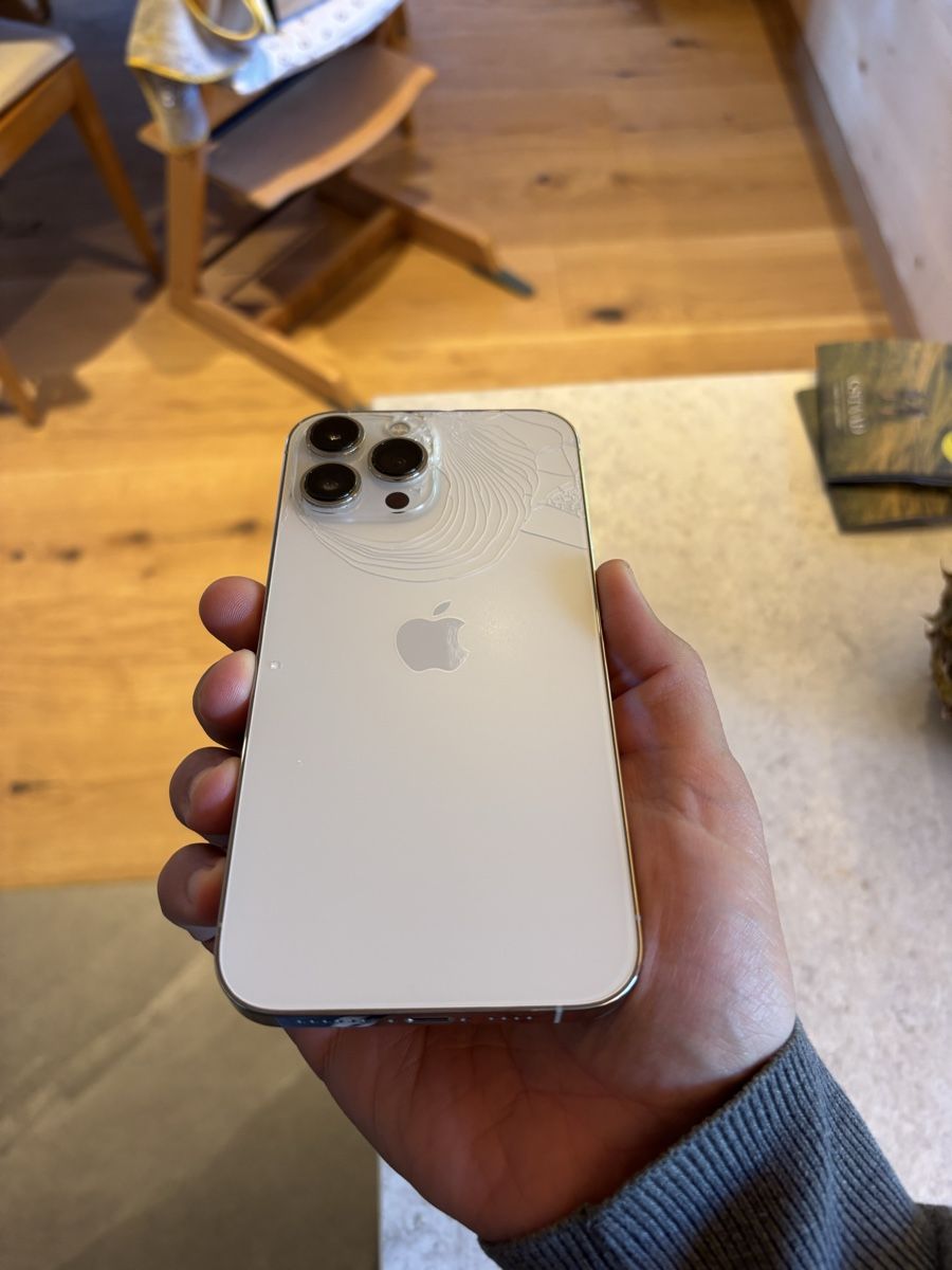 Apple Telefoni cellulari / Smartphones: Apple iPhone 13 Pro Max 256GB weiss / silver – Usato da Saanen venduto da Hanschristian 3