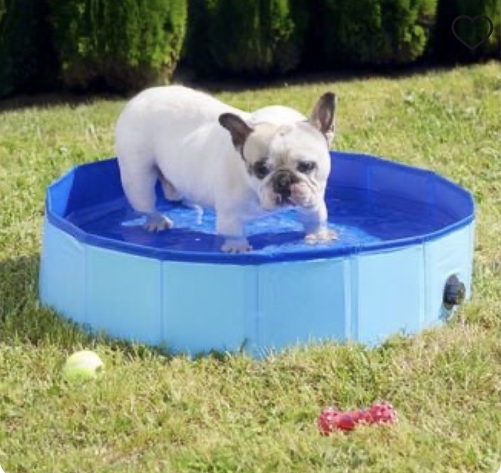Schwimmbad: Hundepool faltbar blau – Gebraucht aus Berikon von compton19 1