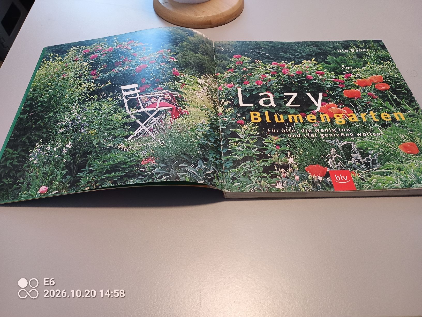 Libri: Buch: LAZY alles über Blumen – Usato da Zürich venduto da Mitzi6 1