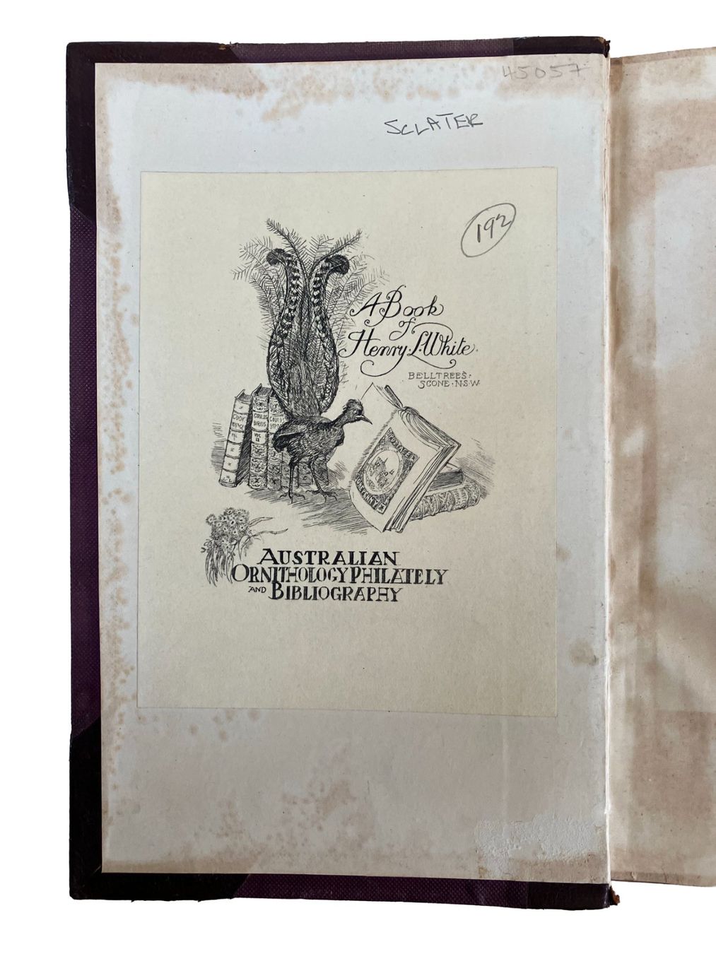 Libri: Ornithological book with Belltrees binding, 1915 – Usato da Uster venduto da TricottetCollection 2