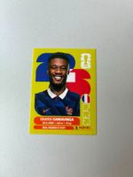 Carte panini 2026 - FRA 10