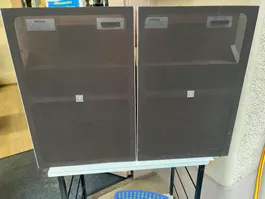 Revox BX 350 Lautsprecher Paar Holzgehäuse gebraucht