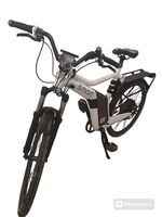 Smart Ebike, frisch vom Service 03/26, Top Zustand!