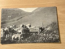 Alte Ansichtskarte von Merligen, Thunersee, selten!