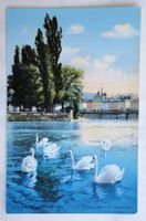 Genève - Les Cygnes de L'Ile Rousseau