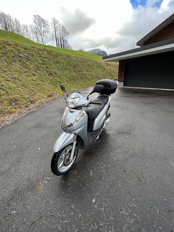 Honda SH 300 Kaufen auf Ricardo