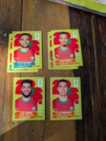 Panini Morocco