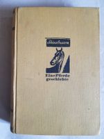 Schönschwarz - Eine Pferdegeschichte 1929 - Martha Niggli