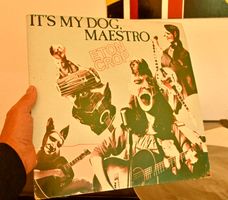 INDIE 1985 Eton Crop – It's My Dog, Maestro VG+