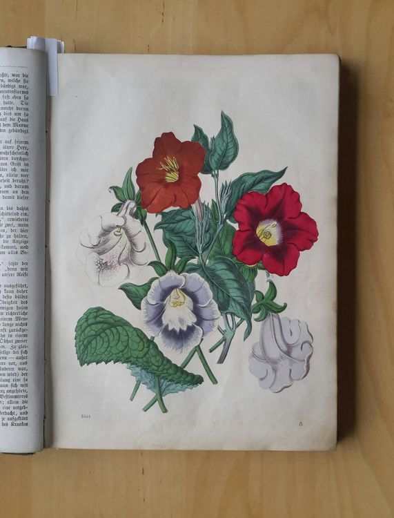 Livres: Das Buch der Welt 1864 . Karl Hoffmann , Stuttgart . – D'occasion à Burgdorf par Olli.34 3