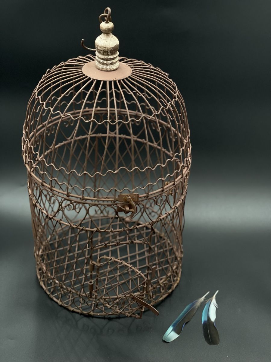 Alle Dekorationen: Vogelkäfig Shabby Chic – Gebraucht aus Baar von Nini043