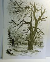 Neue Fundschätze Kunst Graphik v Litho   50 x 38 cm