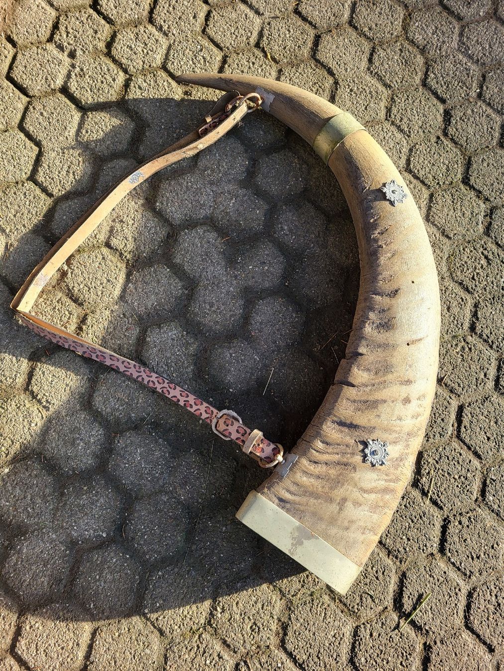 Tutte le decorazioni: Trinkhorn: Büffel oder Rind – Usato da Schönenberg ZH venduto da Samichlaus71 3