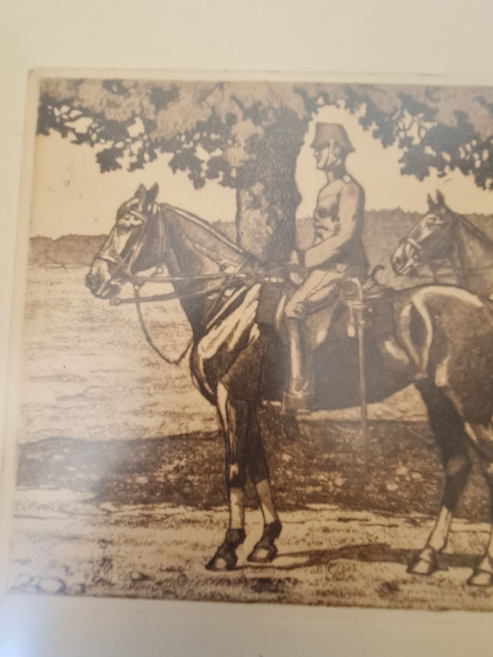 Foto & Immagini: Iwan Edwin Hugentobler 4 Bilder – Usato da Degersheim venduto da Tosam_Degersheim 1