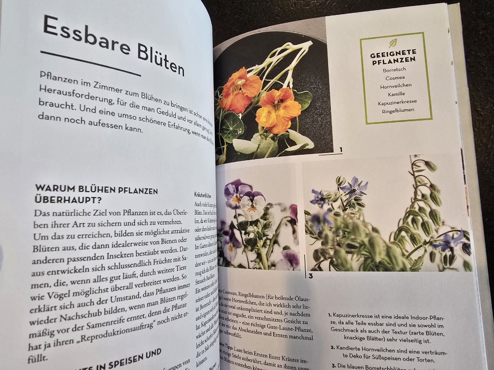Libri: INDOOR-ERNTE - Es geht auch EINFACH! – Nuovo (secondo la descrizione) da St. Gallen venduto da charly92 6