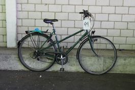 Velo 44