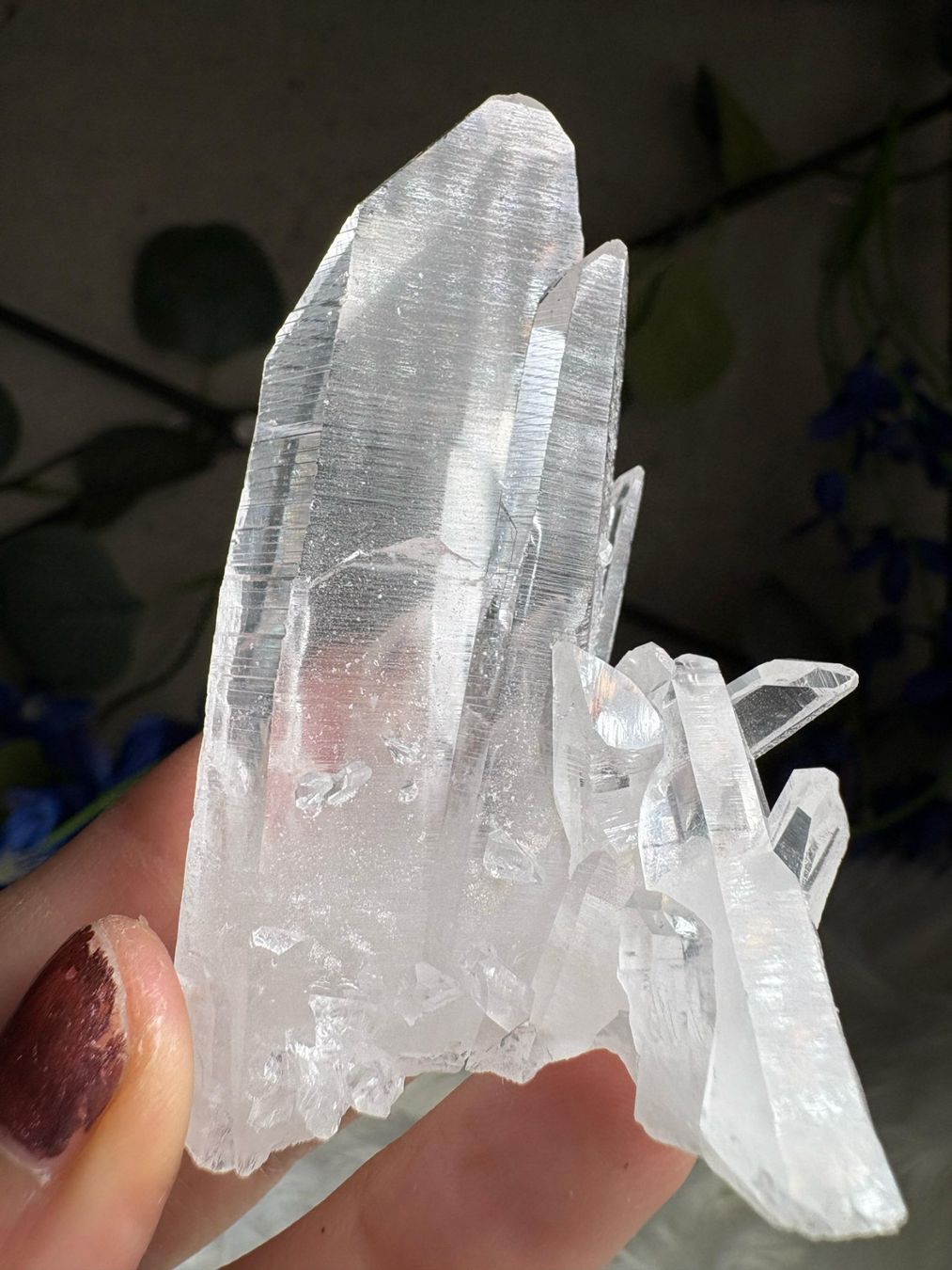 Minerali & Pietre curative: Kolumbianischer Lemurian-Quarz-Cluster – Nuovo (secondo la descrizione) da Neuheim venduto da m.hald 3