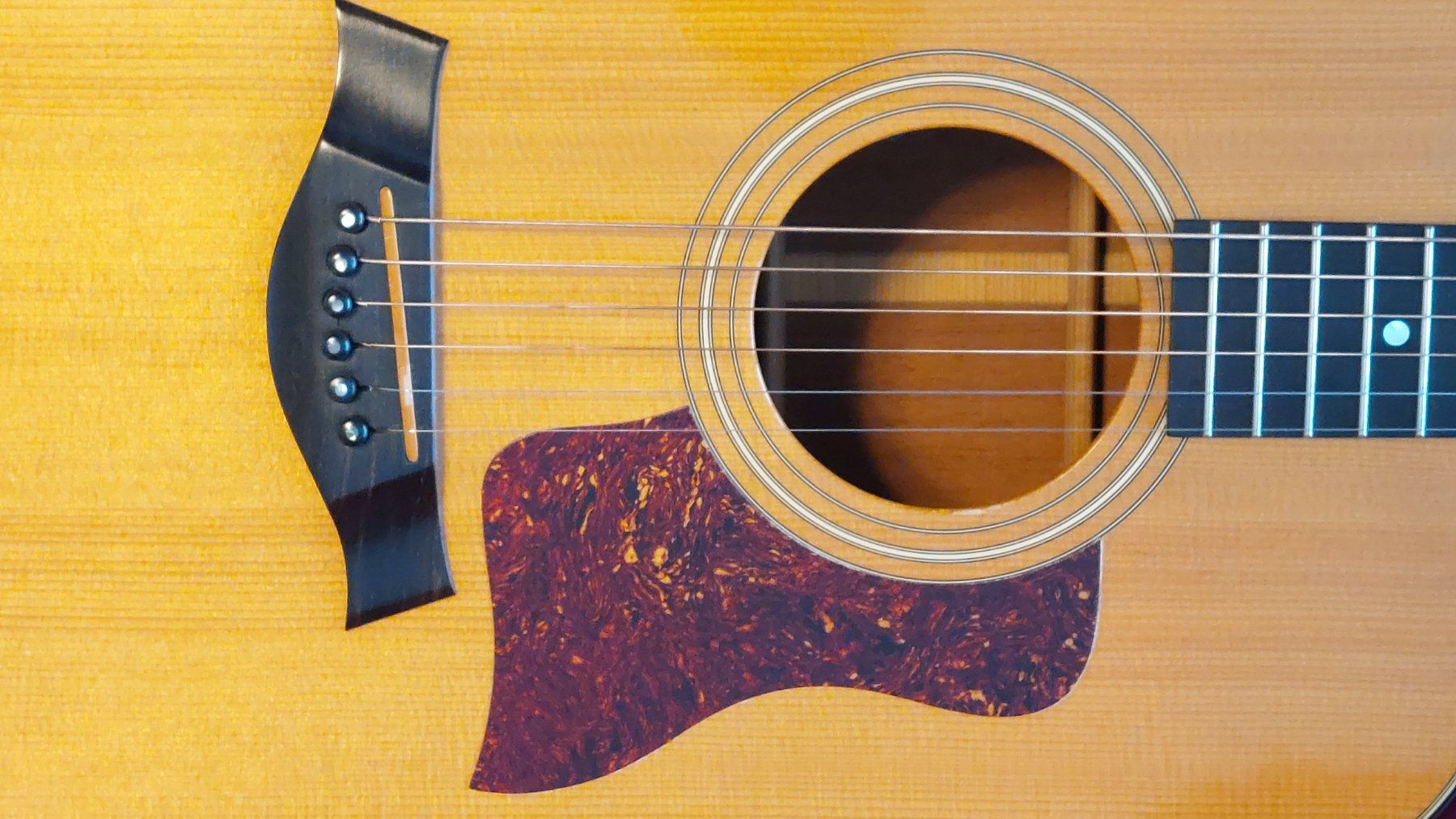 Taylor Strumenti musicali: Taylor 510 Westerngitarre, 1990 – Usato da Seeberg venduto da Gebi8 4