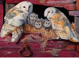 Diamond Painting Eulenfamilie (91)