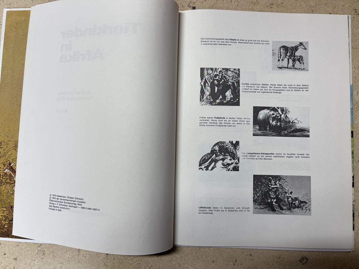 Bücher: Tierkunde in Afrika 2 – Gebraucht aus Beinwil am See von drenirb 2