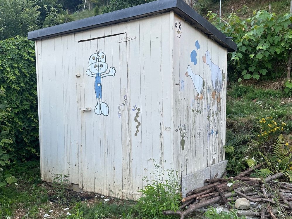 Gartenhaus Kaufen auf Ricardo