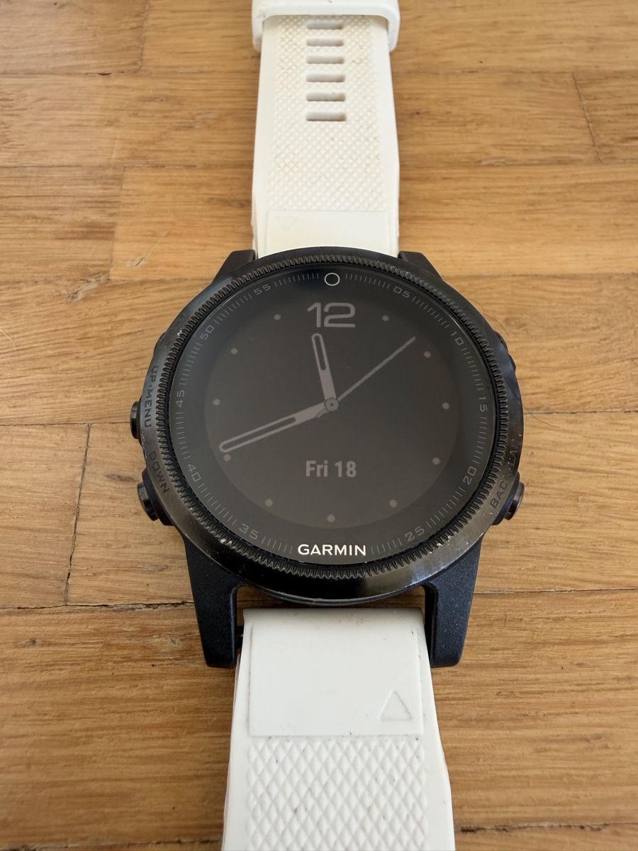 Garmin Smartwatch: Garmin Fenix 5S 20 mm – Usato da Stallikon venduto da Forbs676 1