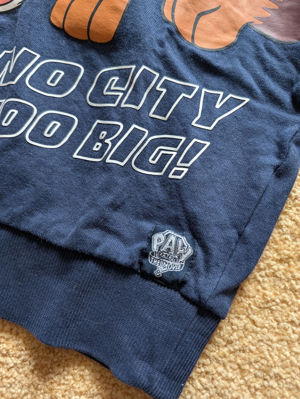 C&A Pullover & Sweatshirts: Paw Patrol Pulli, Gr. 116 – Gebraucht aus Winterthur von voan 1