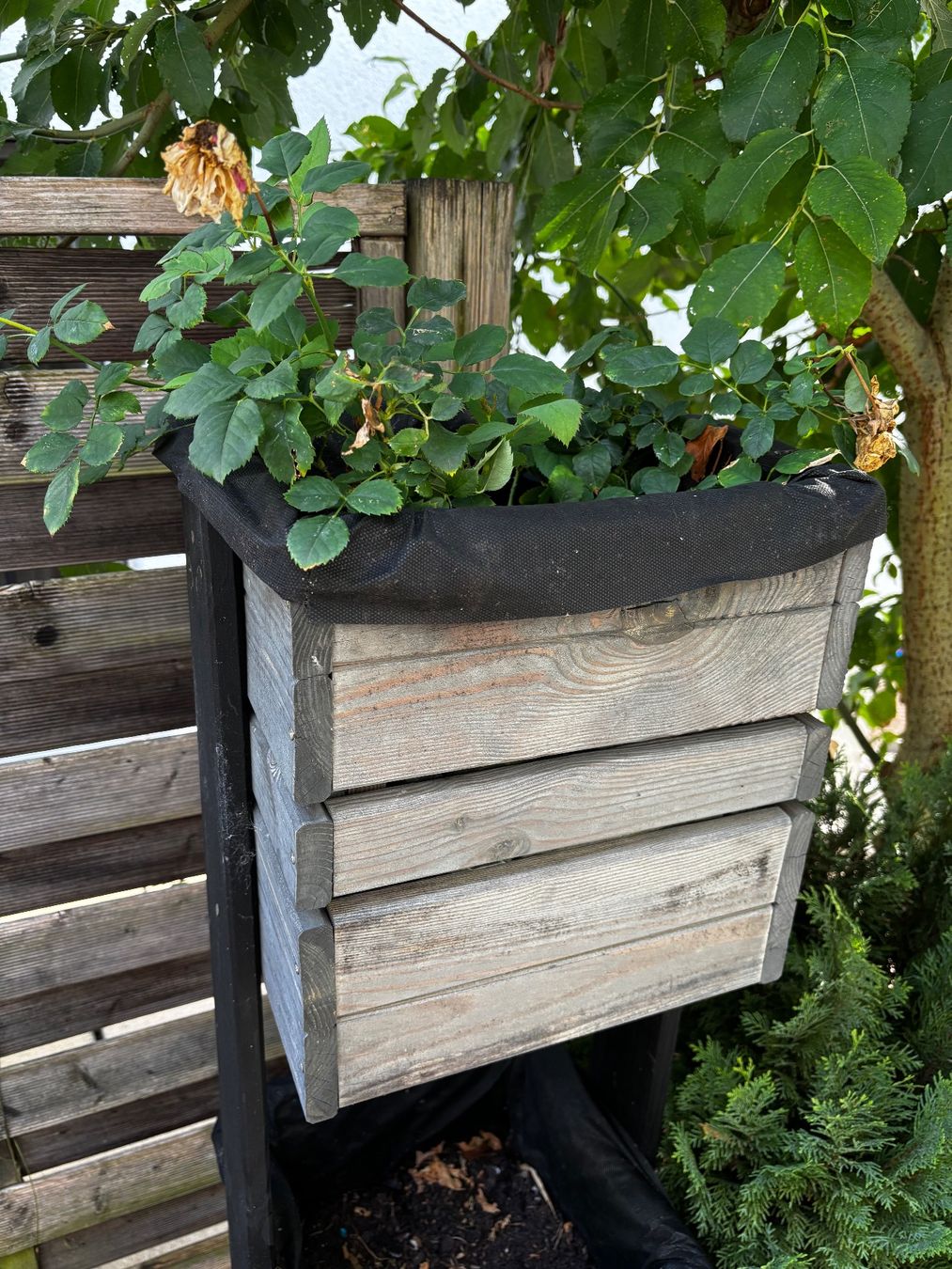 Migros Pots de fleurs: 3 level vertical flower bed Great – D'occasion à Füllinsdorf par MaiiaM 6