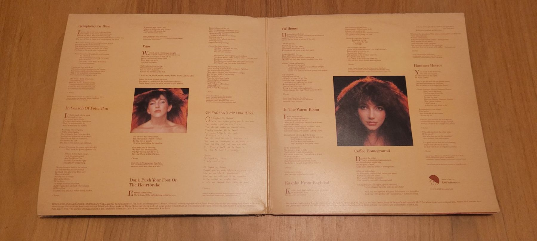 Vinyles: LP  Kate Bush – D'occasion à Martigny par MZ-67 1