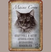 🔥 MAINE COON Katze Blechschild 🎀 12x18cm OVP 🔥