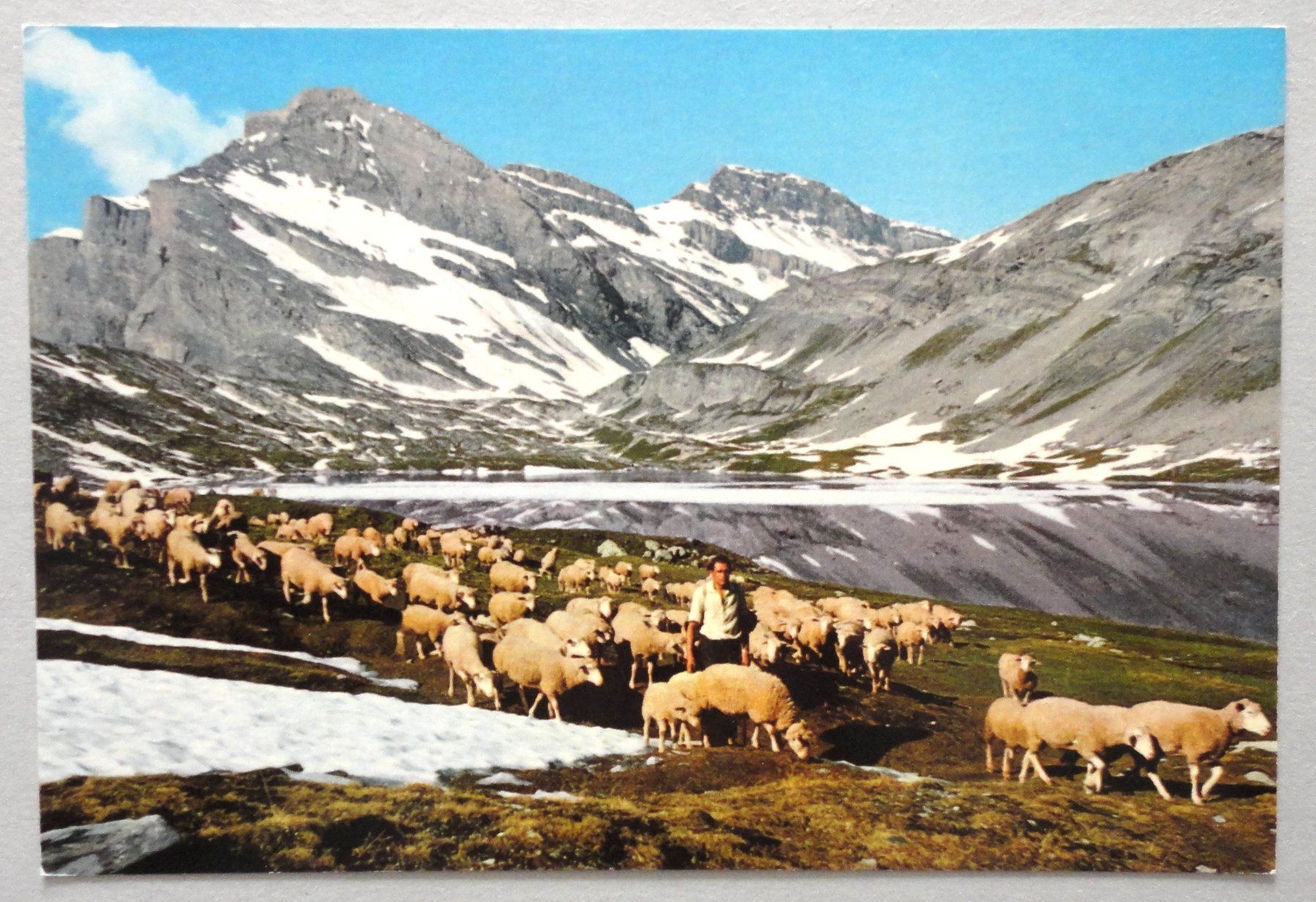 Cartoline postali: Schafherde zieht auf die Alp – Usato da Fétigny venduto da Billy2miny