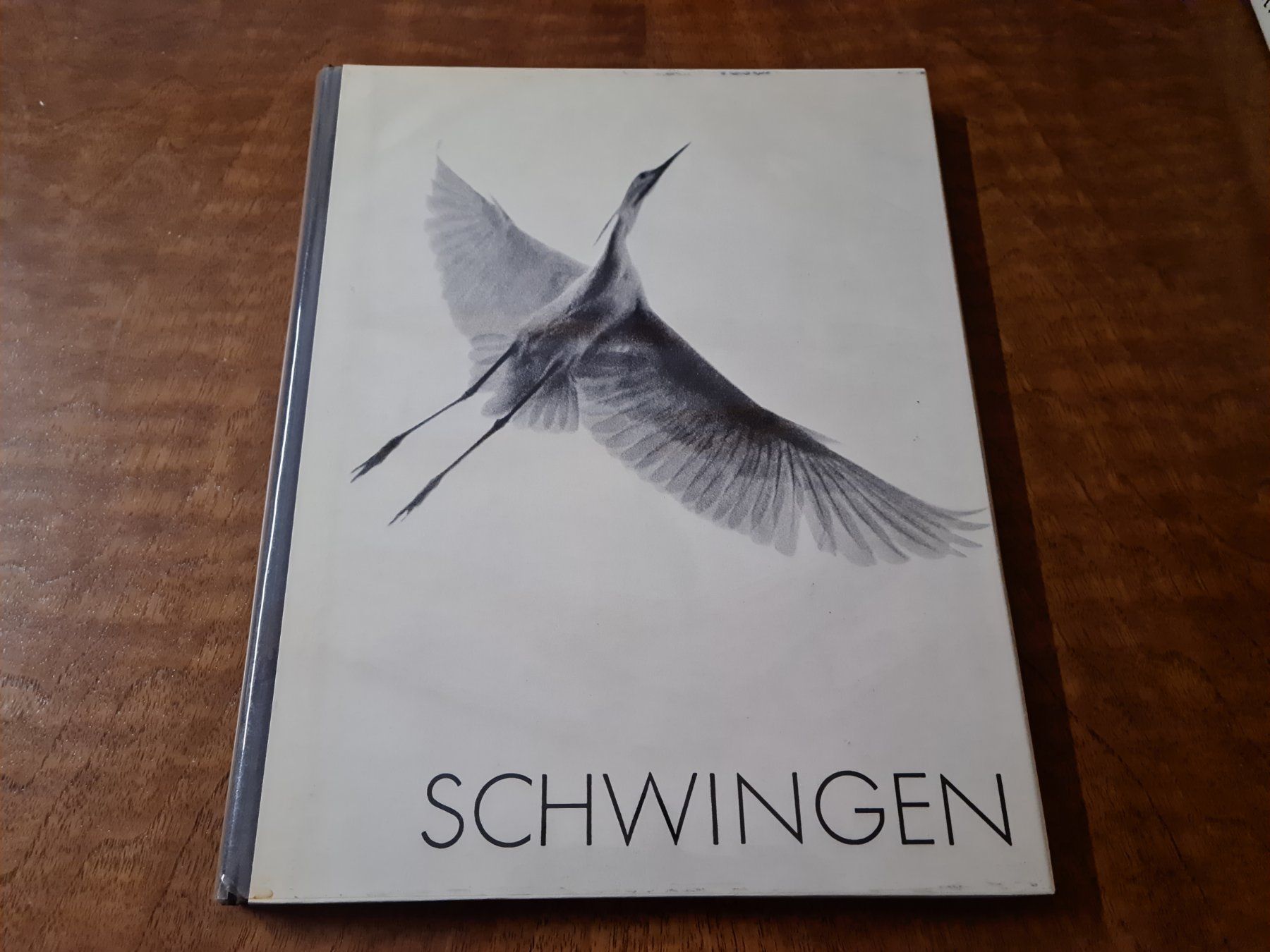 Libri: SCHWINGEN – Usato da Erstfeld venduto da Uhu1980