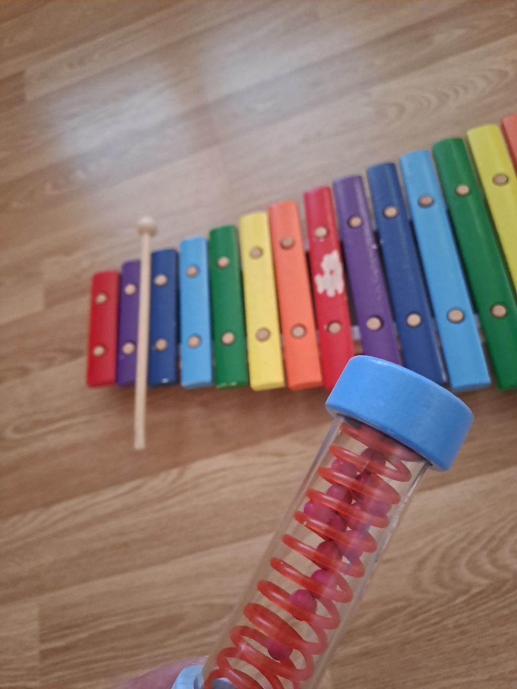 Strumenti musicali: Kindermusikintrumente Set Xylophon & Rassel – Usato da Basel venduto da suberi_Sach 2