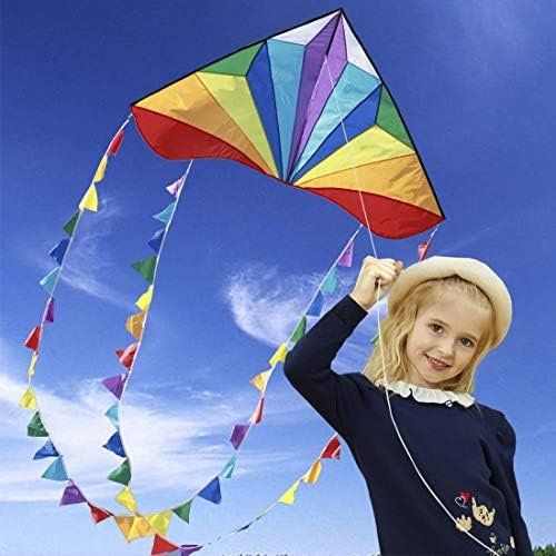 Altro in Decorazioni & Accessori: Kinder Drache Wind Spass Spiel Outdoor Geschenk – Nuovo e nell'imballaggio originale da Hundwil venduto da pac_6jh8 2