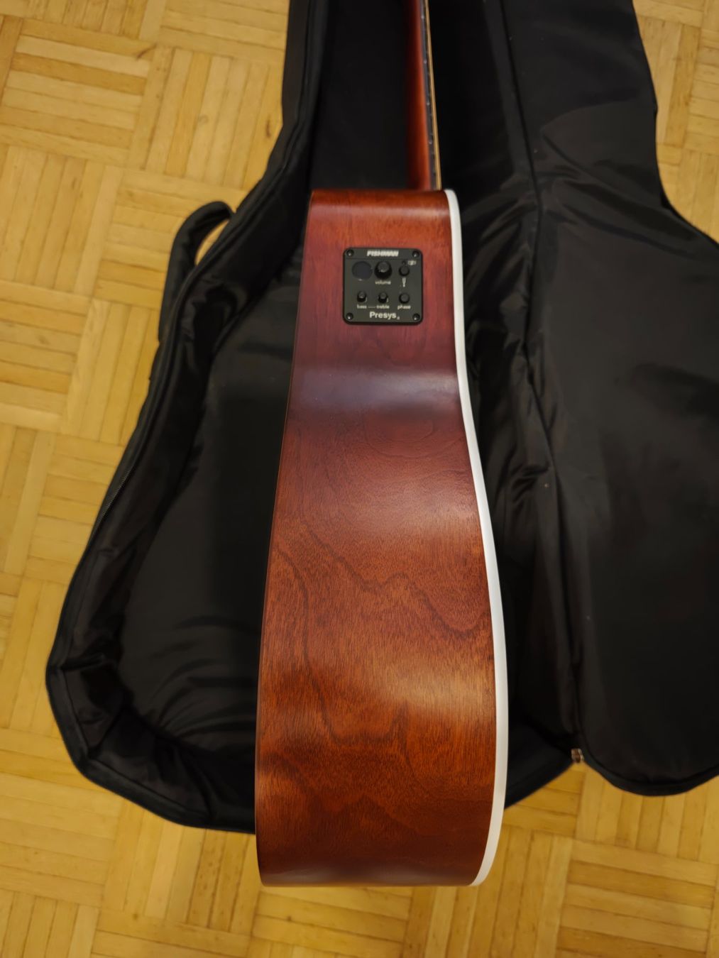 Seagull Strumenti musicali: Seagull Entourage Cutaway Presys 2 – Usato da Basel venduto da kea_9jr9 8