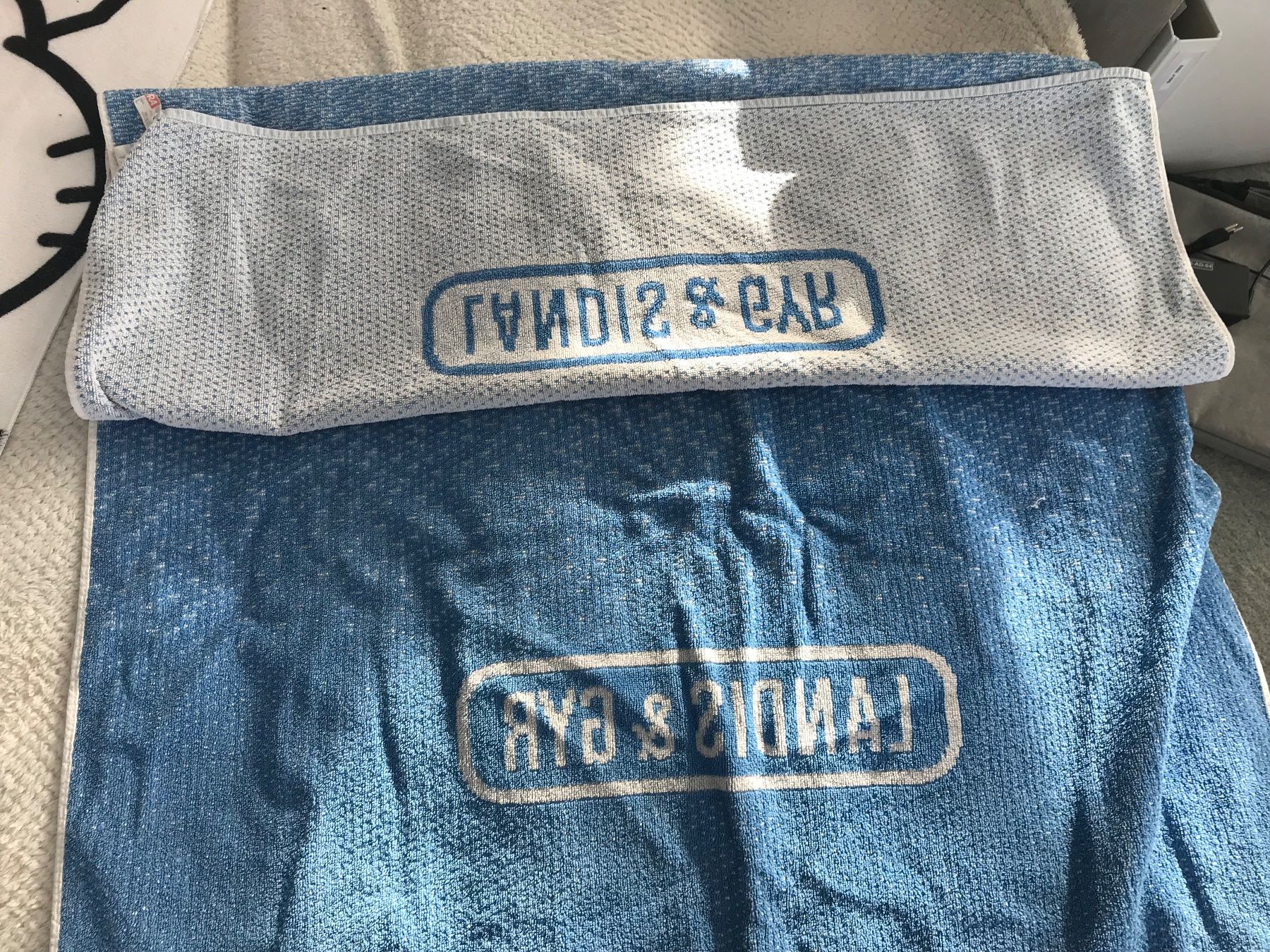 Teli da bagno: Landis&Gyr Badetuch hellblau, benutzt – Usato da Niederteufen venduto da mix18 1
