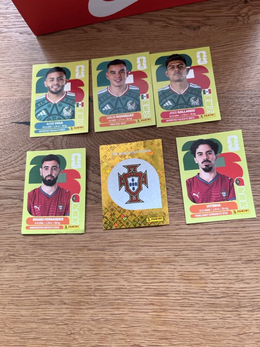 Panini Album: Panini Fussballkarten – Usato da Hofstatt venduto da ryb_qlf8