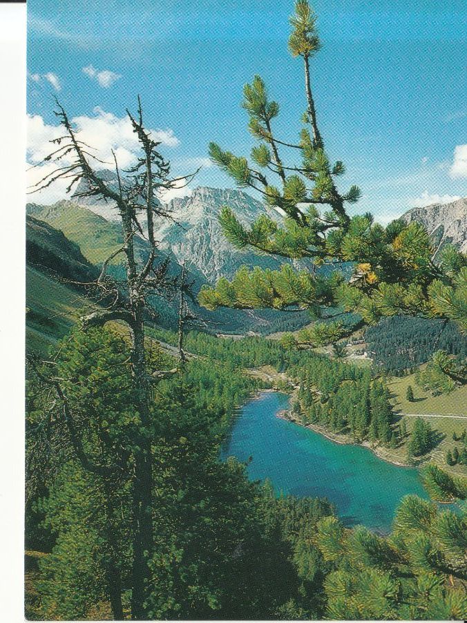 Cartoline postali: Palpuognasee 2005 – Usato da Bürglen TG venduto da StampGraf