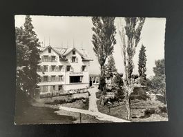 AK AR Walzenhausen, Hotel und Ferienpension Rosenberg