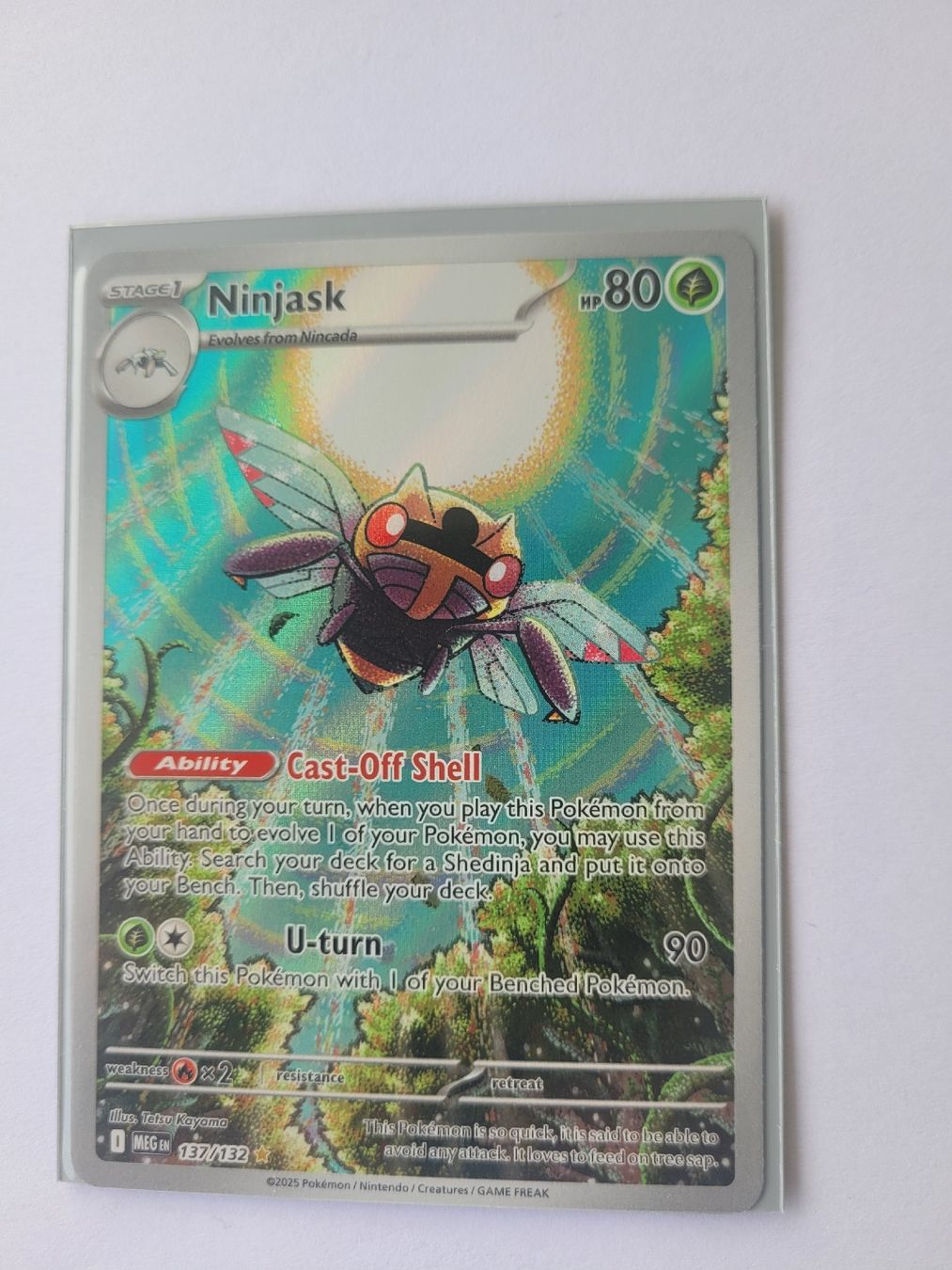 Pokémon Carte collezionabili: Pokemon Ninjask EN – Nuovo (secondo la descrizione) da Brunnen venduto da Schlumpf018