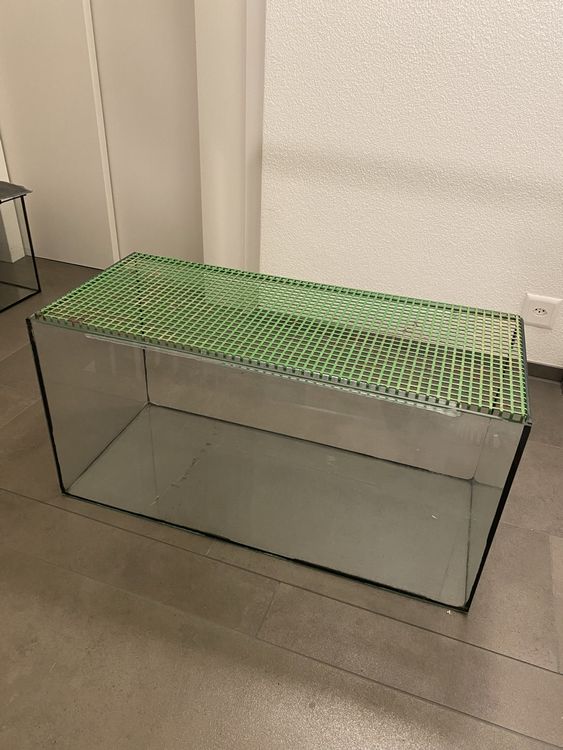 Terrarium mit Gitterabdeckung Kaufen auf Ricardo