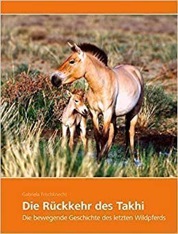 Libri: Die Rückkehr des Takhi – Usato da Neuchâtel venduto da Dualseele