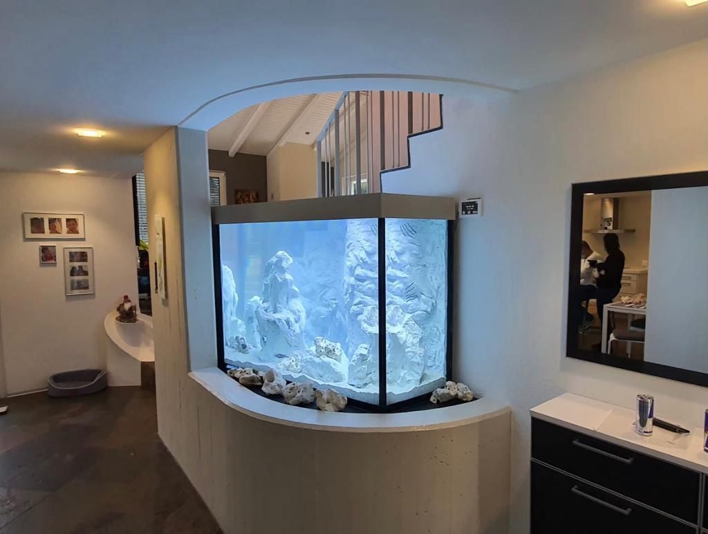 Acquari: Aquarium 1600 Liter – Nuovo (secondo la descrizione) da Berikon venduto da fischundart