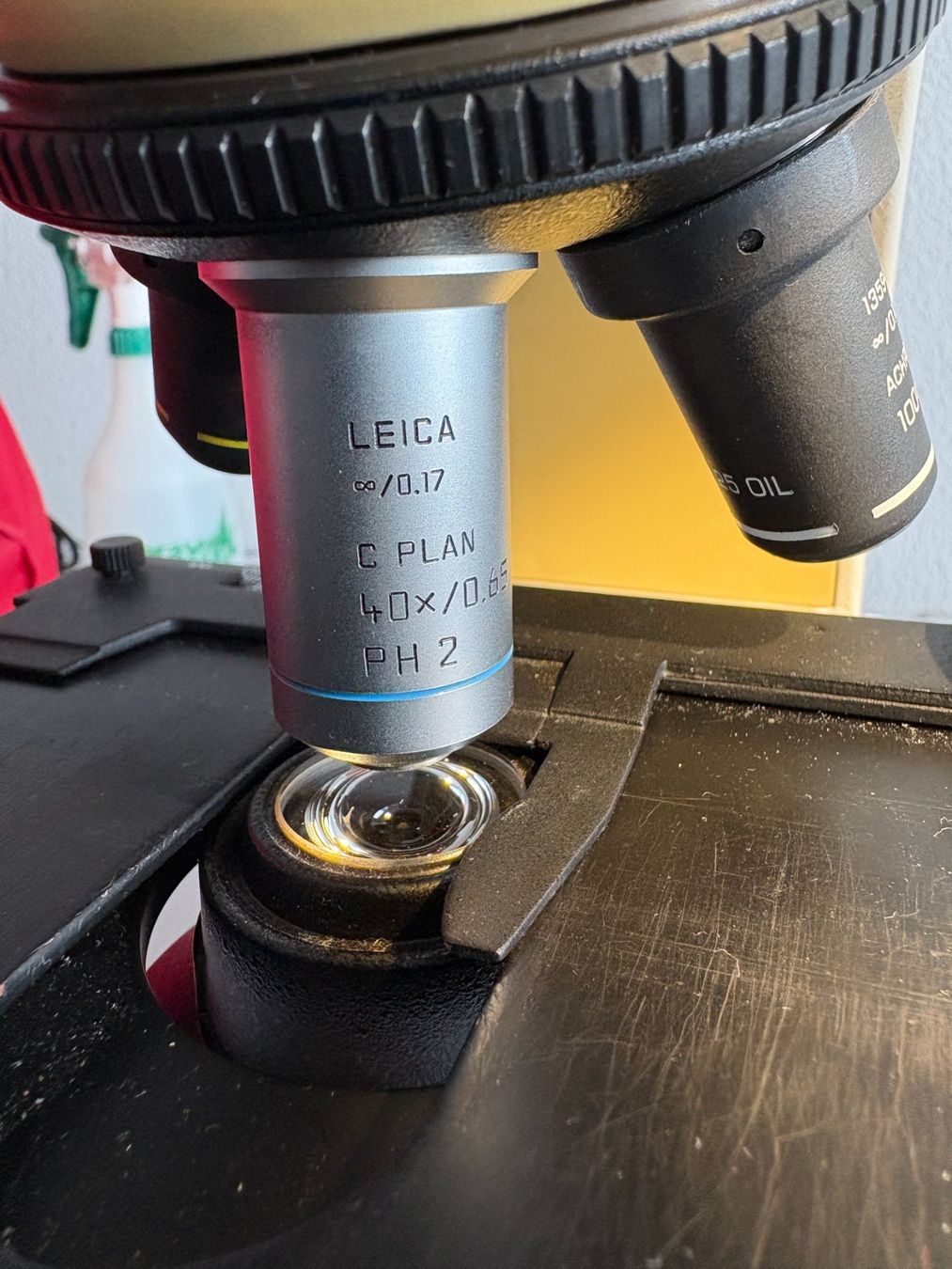 Leica Microscopes: Mikroskop Leica DME – D'occasion à Obfelden par boletus03 5