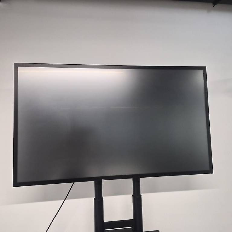 Monitor: Écran iiyma LFD ProLite T5529AS-B1AG – Usato da Conthey venduto da VioletteM 3