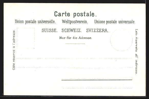 Cartes postales: AK Lichtensteig, Totalansicht – D'occasion à Berlin par bartko-reher 1